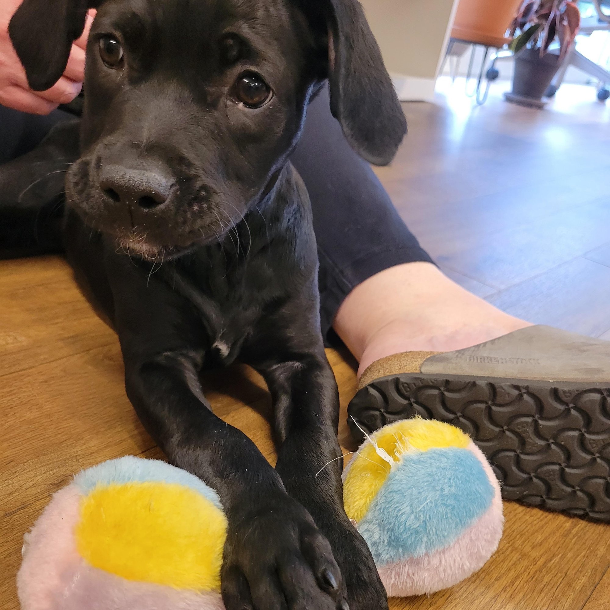 IMG_8797-1 IMG_8797-1