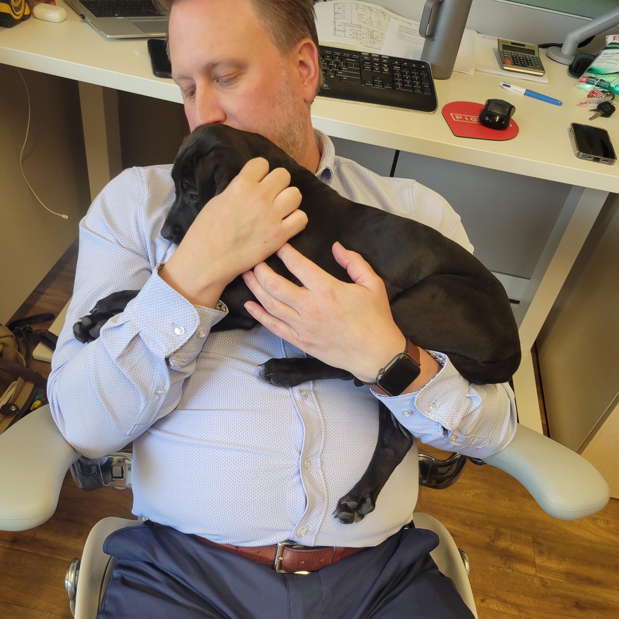 IMG_8803-1 IMG_8803-1