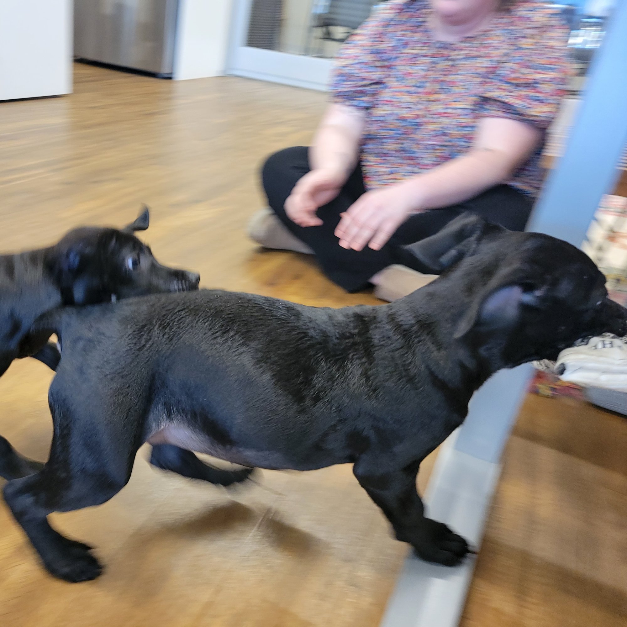 IMG_8804-1 IMG_8804-1