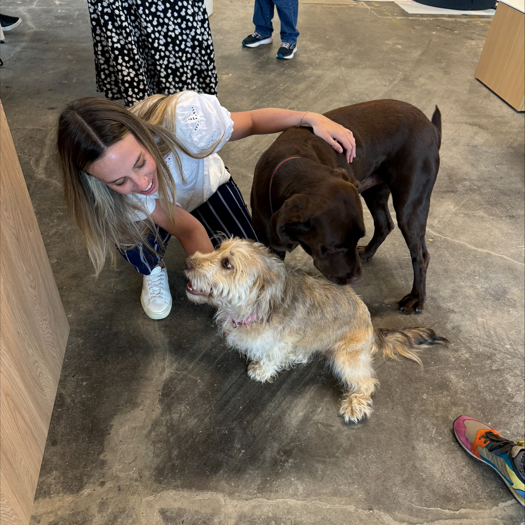 processed-8FF39B04-4556-4F5D-AC95-ABE039487797-1 processed-8FF39B04-4556-4F5D-AC95-ABE039487797-1