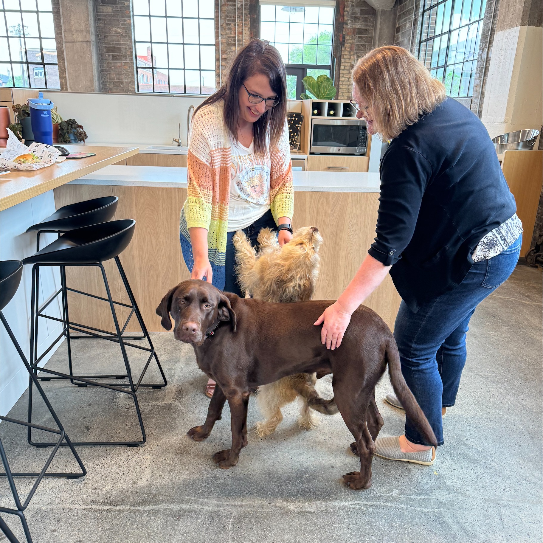 processed-A703AFEA-B9E2-452A-8D97-BA3535F115C7-1 processed-A703AFEA-B9E2-452A-8D97-BA3535F115C7-1