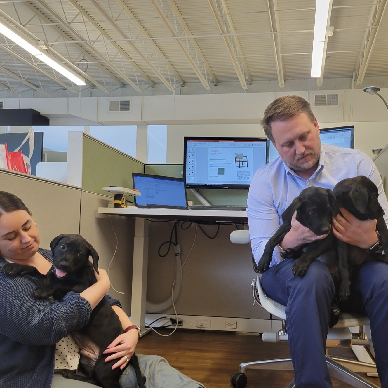 IMG_8805-1 IMG_8805-1