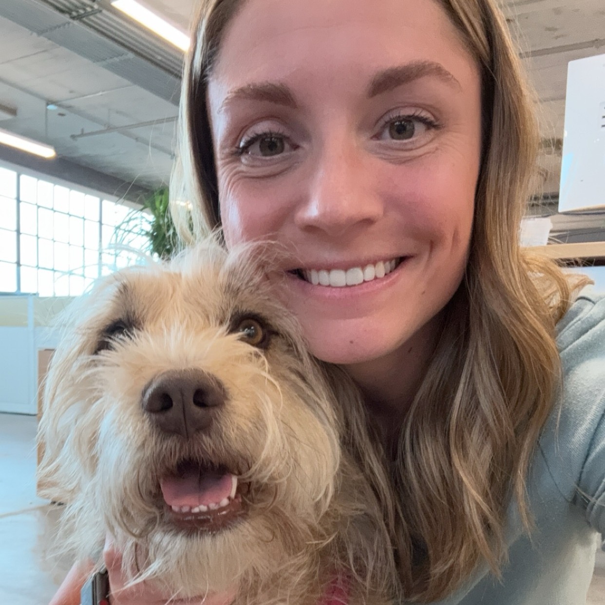 original-6456E26C-E7C9-4E46-A848-AD1B296913EF-1 original-6456E26C-E7C9-4E46-A848-AD1B296913EF-1